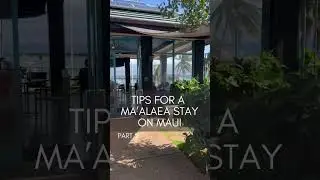 Part 2: Tips for staying in Ma&rsquo;alaea, Maui and how convenient it is! Learn more on blog #mauitravel