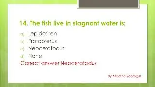 Mcqs about fishes-Most important mcqs about fishes-most repeated mcqs about fishes