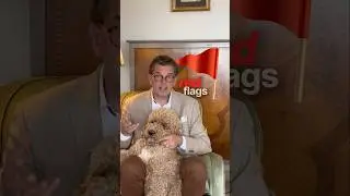 Red flags about dog supplements 🚩# #marketing #amazon #dog #supplements