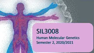 HMG22 -Chp7#4 The Human Genome Project