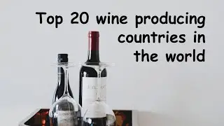 TOP 20 WINE PRODUCING COUNTRIES 🍷