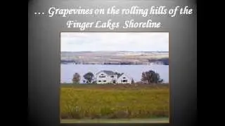 Finger Lakes Holiday Inn Waterloo/Seneca Falls NY Wine Region