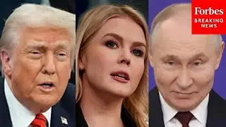 Только что: Каролин Ливитт рассказала о телефонном разговоре Трампа с Путиным перед визитом Зелен...