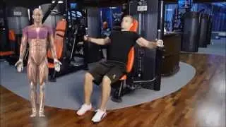 Body You Want &ndash; Gym Workout Programs With Full Exercise Journal