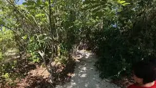 MM84 Windley Key Fossil Reef Geological State Park - Hiking Trails