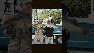 Inshore Grouper master!#fishing #fish #fypyoutube #funny #funnyshorts