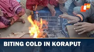 Dense fog in Koraput, winter cold wave hits normal life | OTV News English