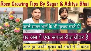 गुलाब कैसे ग्रो करें जानते हैँ आज 🌱Rose Plant Care🌹Save Rose Plant🌹Rose Growing Tips👍Gulab Ki Care🌱