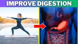 8 YOGA Poses for Better Digestion Improve your GUT Health