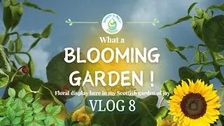 VLOG 8: What a Blooming Garden! Late Summer 2024