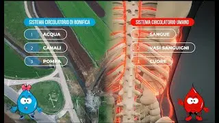 Pillole di Bonifica   01 Il Corpo e la Bonifica