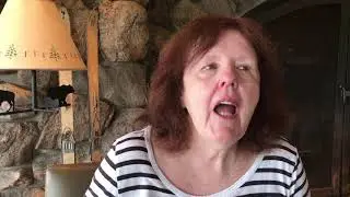Janet Hamill - Radical Poetic Imagination