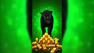 Casino Gameplay| Mighty Wild Panther &ndash; Big Fail in the Jungle!