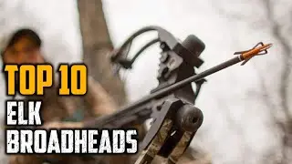 Top 10 Best Elk Broadheads In 2025