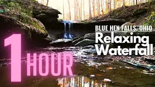 [1 Hour] - Relaxing Waterfall Loop - Blue Hen Falls