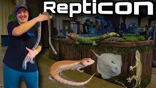 Touring Repticons + stingray!?!