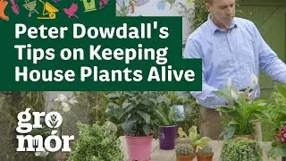 Peter Dowdall's Tips on Keeping House Plants Alive