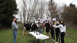 TIEA 2021 - Présentation d'un bovin