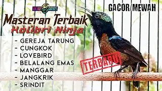MASTERAN KONIN FULL MATERI MEWAH ISIAN LOMBA MATERI WAJIB SEMUA KONIN