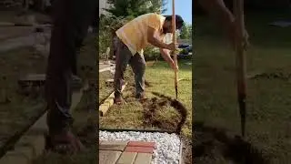 Expensive looking landscape edging