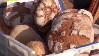 Sauvons nos Miches!