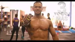 Tenebrio Molitor - Barras de Prote&iacute;na YN&Eacute;