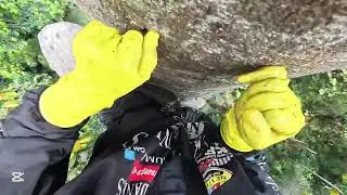 A Daring Challenge to Conquer the Highest Wild Beehives in the Tropical Forest KK1hKzzmYiA part5