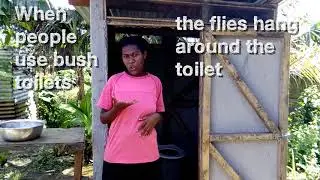 What makes a toilet VIP?