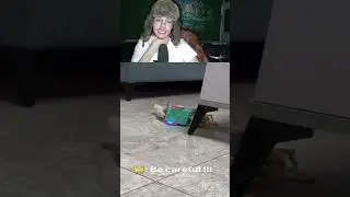 katzenbrashki hat unfall