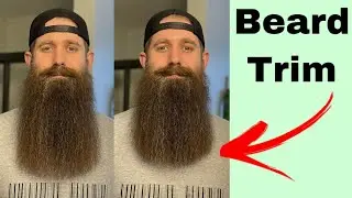 Beard Transparency Trim!