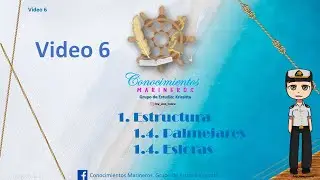 Video 6 esloras y palmejares
