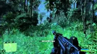 Crysis - x1650 pro & Pentium 4