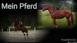 Mein erstes eigenes Pferd - neues Pferd 🦄🎀