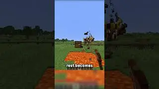 This Is OFFICALLY The Most Useless Item In Minecraft...