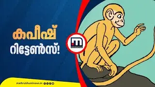 ആ വാൽ വീണ്ടും നീണ്ടുവരും..ആപത്തിലായവരെ രക്ഷിക്കാൻ; കപീഷ് റിട്ടേൺസ് | Kapeesh | Balabhumi