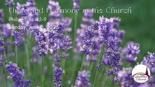 Unity and Harmony in the Church (Philippians 4:1-9): Sunday, June 8