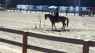 VID00273