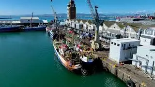 Viking Fishing & Sea Harvest Cape Town Harbour Drone Shots