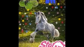 LP#10||Star Stable Online на русском|| Конец квеста с Марли