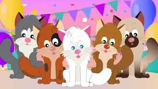 Happy Birthday Cleo   Pet Music for Your Cat