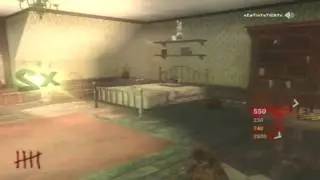 Black ops - Nazi zombies strange room.