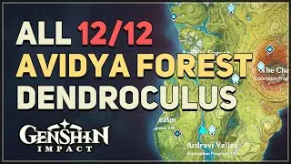 All Avidya Forest Dendroculus Locations Genshin Impact