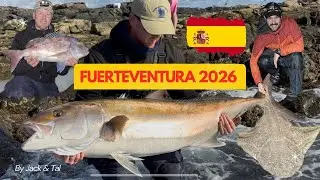 Shore Fishing in Fuerteventura | 7 Day Fishing Holiday | Big Amberjack Landed!