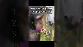 Top 5 funny video challenge #cat #funny #ytshorts #viral #viralshorts #trending