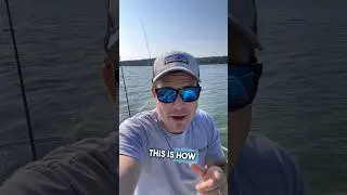 How I Trotline for Crabs #chesapeakebay #crabbing #bluecrab