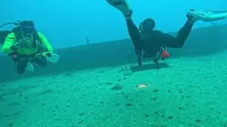 Under the Surface in Key Largo: Diving - City of Washington, Christ of the Abyss & USS Spiegel Grove