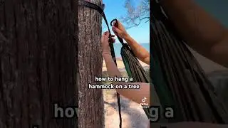 how to hang a hammock on a tree 🌳🌳 #hammock #summer #hammocklife #hack