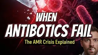 The Day the Medicine Stopped Working | Antimicrobial Resistance (AMR)  Explained 