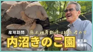 【産地訪問】内沼きのこ園〜椎茸狩り&BBQへ|原木栽培と菌床栽培の違いを内沼さんに教えてもらいました！