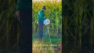 Paddock preparation by making electric fence 🐄 #farming #farming_ismylife #milking #fence #cow
